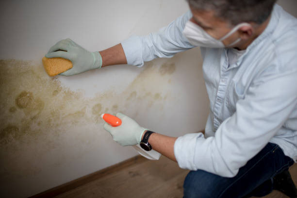 Best Crawl Space Mold Removal  in Monroe, OH